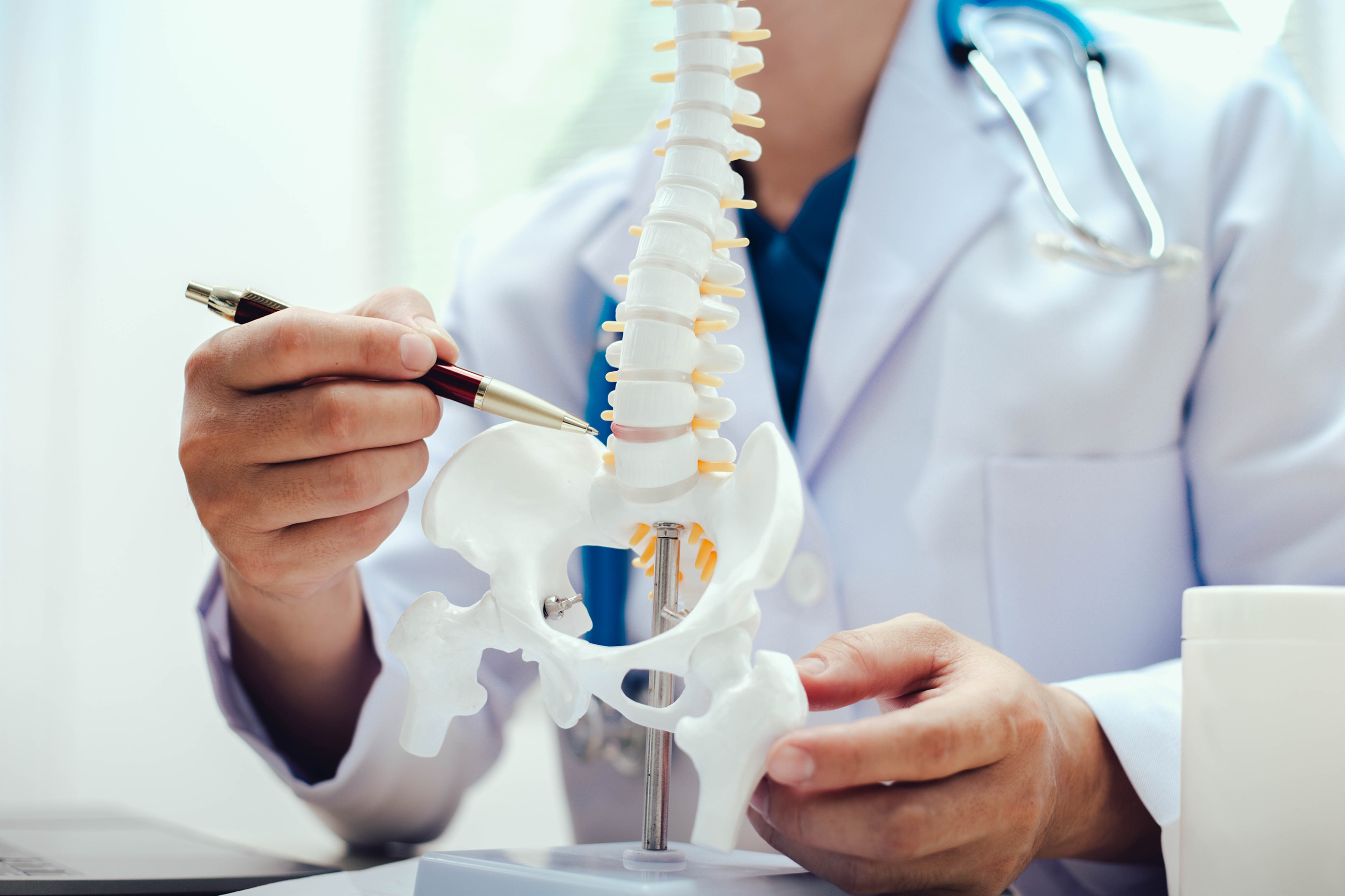 Chiropractor